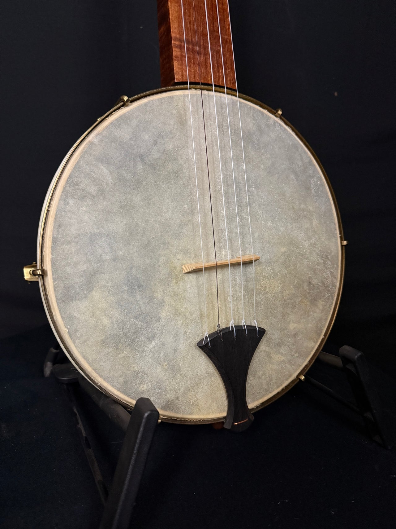 Bell and Son Boucher Fretless Banjo