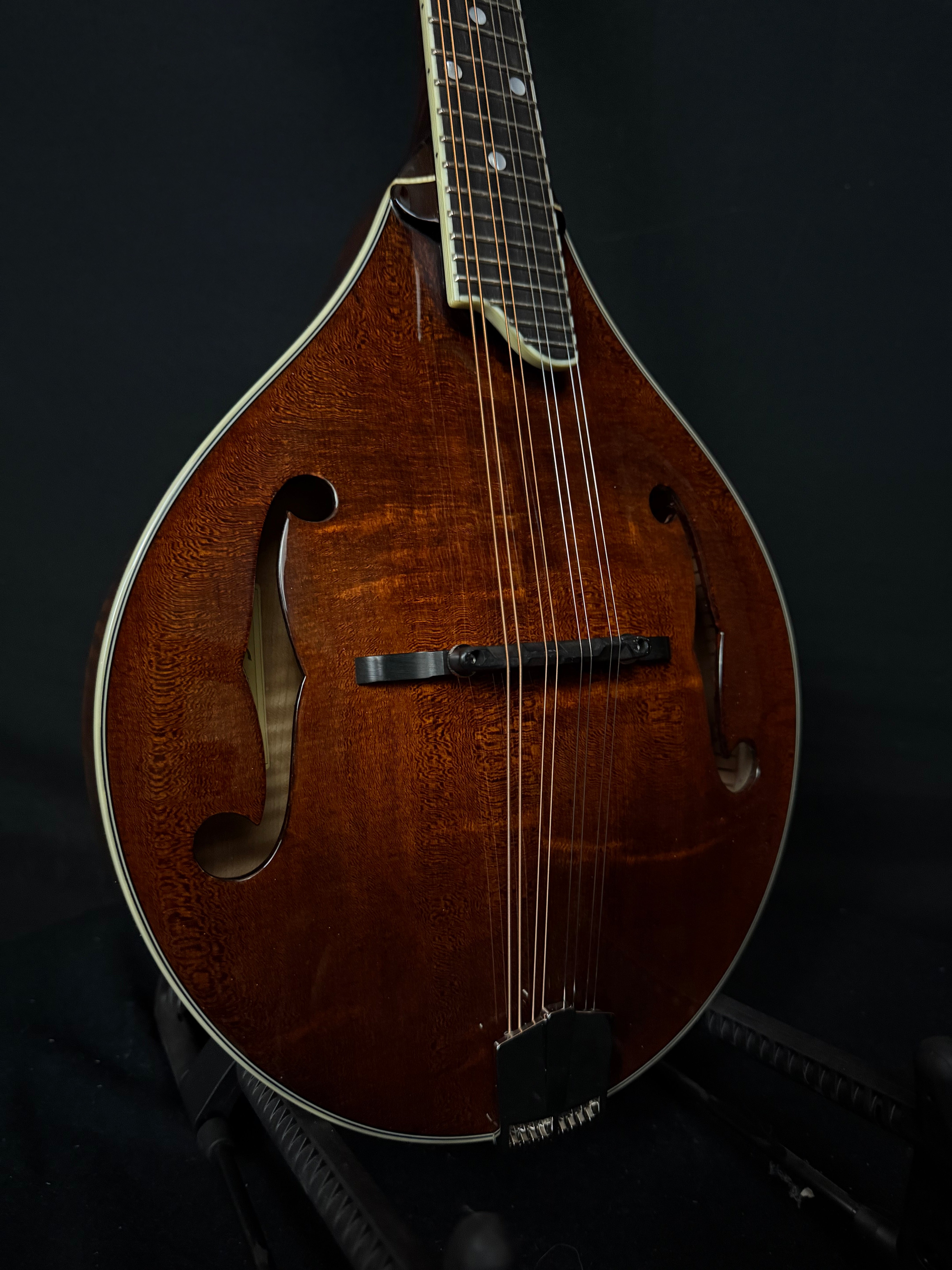 Eastman MD505 A-style Mandolin | Acoustic Corner
