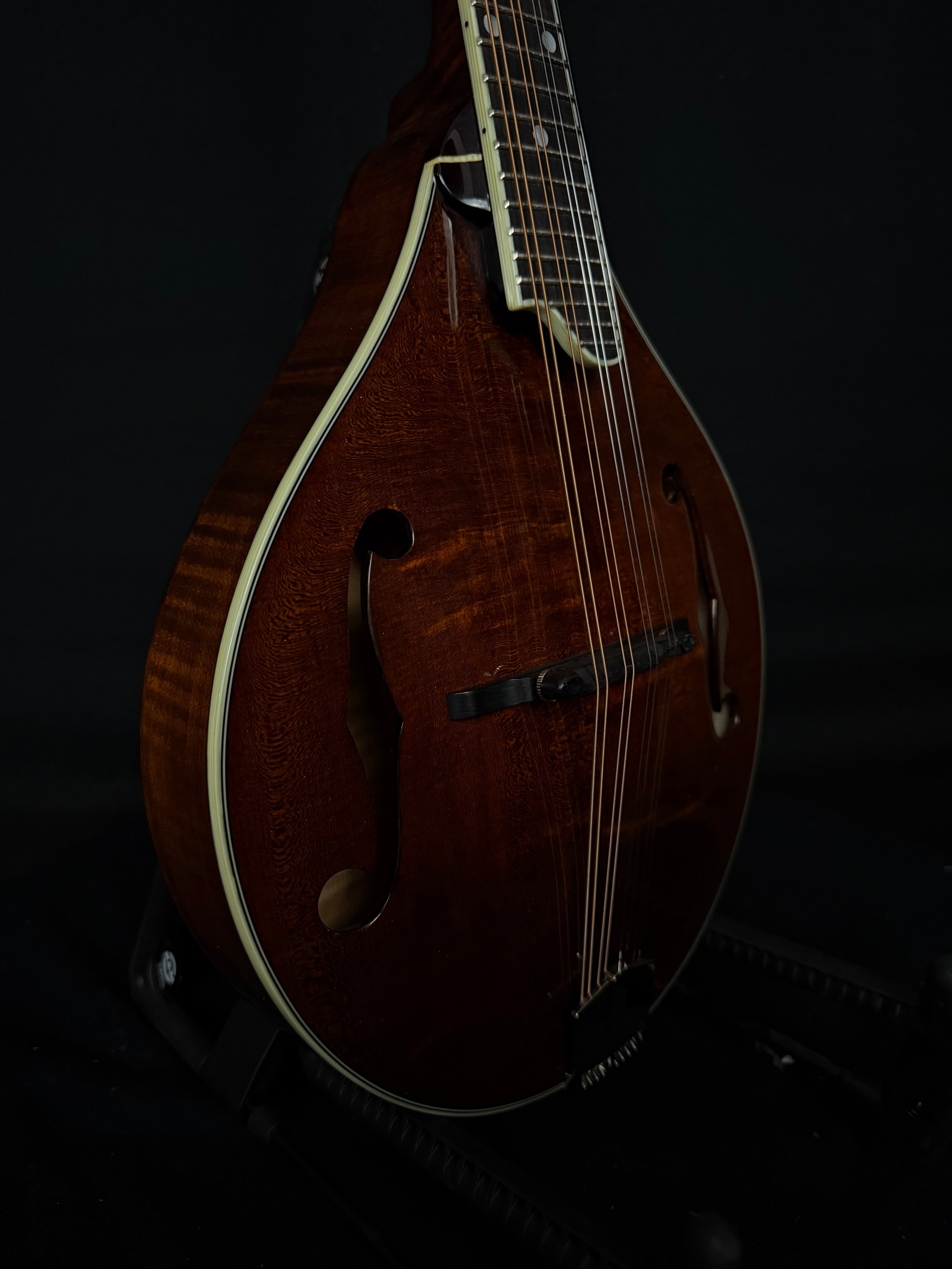 New & Vintage Mandolins | Acoustic Corner | page