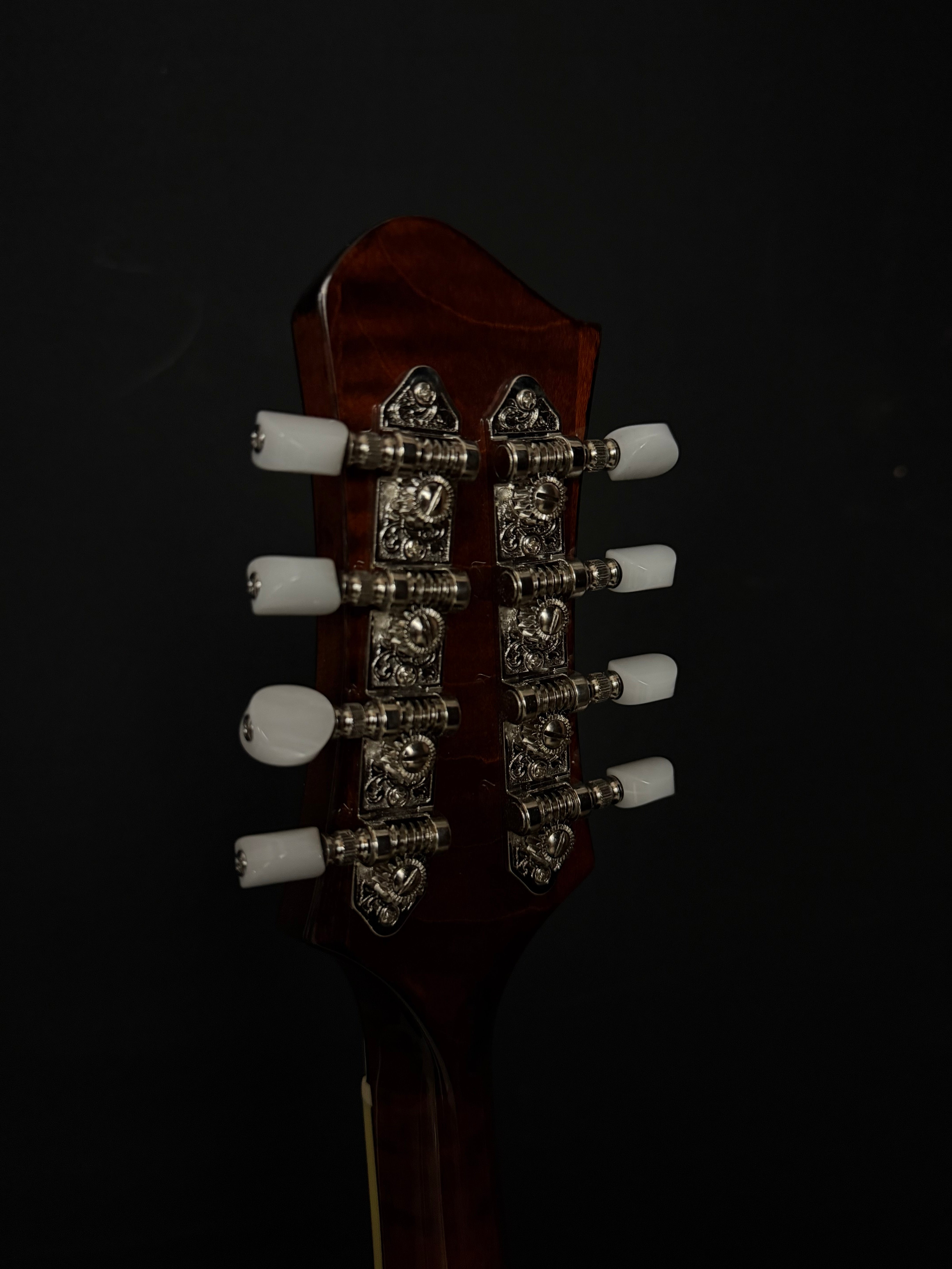 Eastman MD505 A-style Mandolin | Acoustic Corner