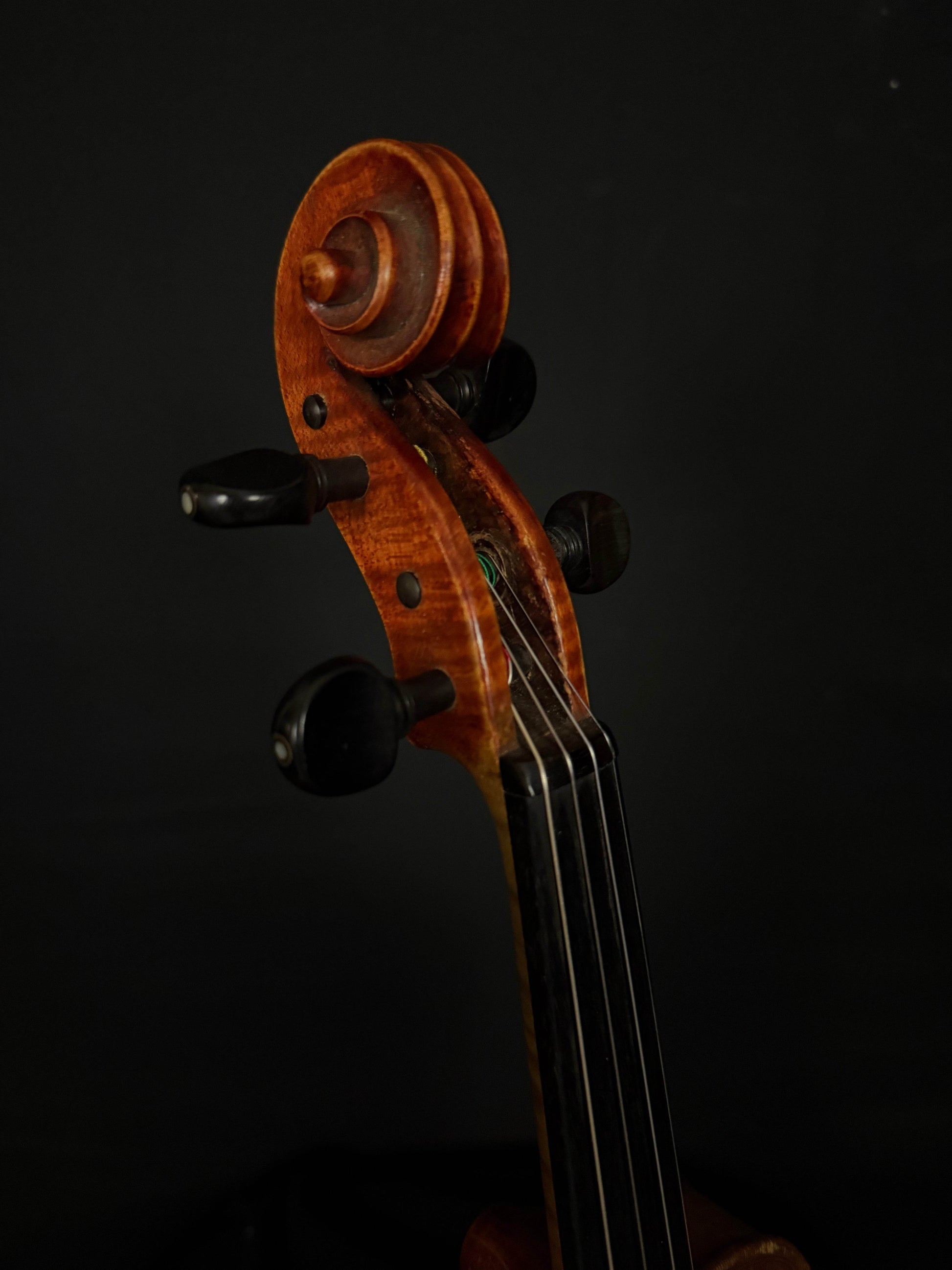 1952 Paul Toenniges Violin by Bruno Franz Paulus - Acoustic Corner