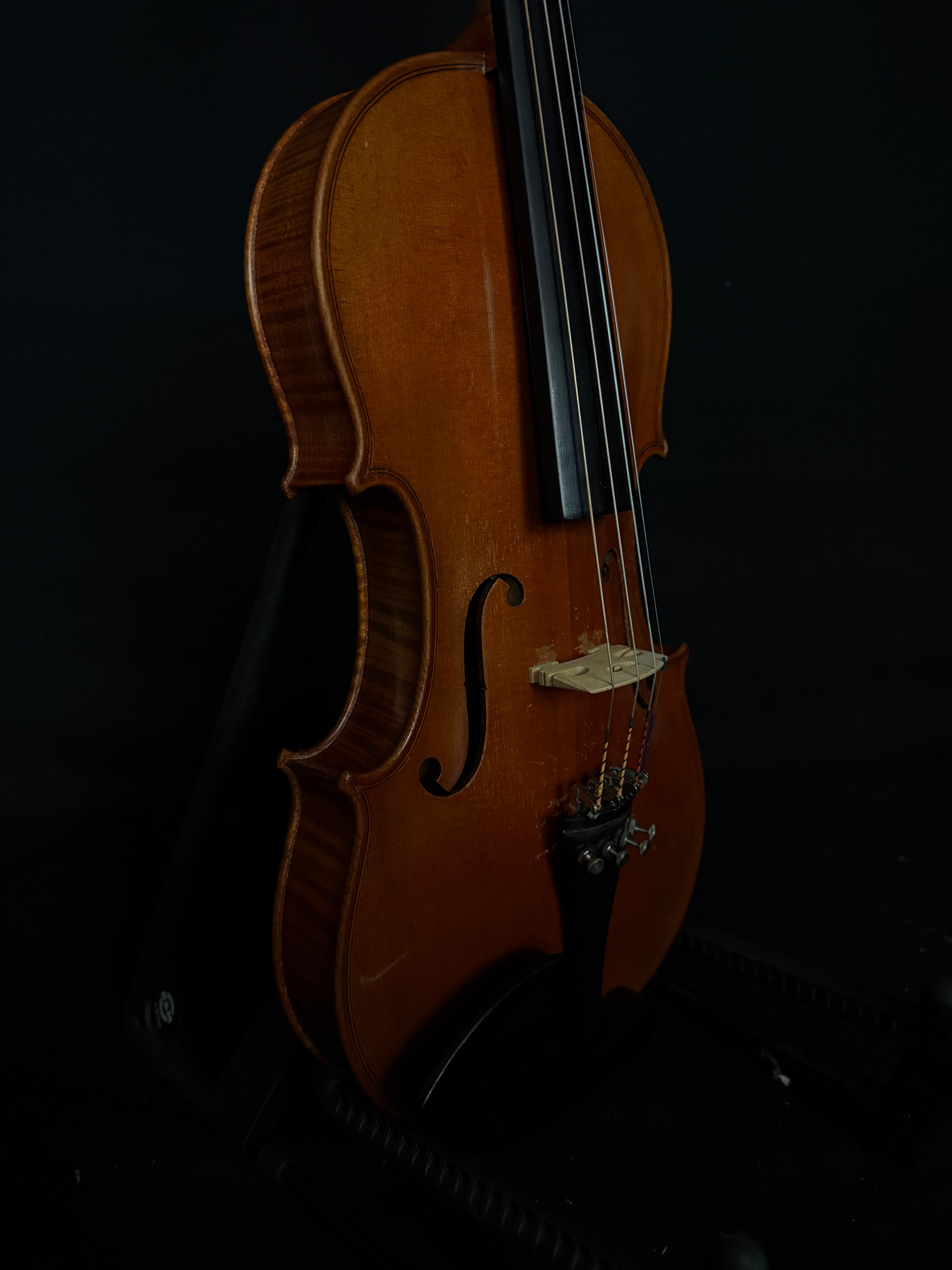 Shop Used & Vintage Instruments | page | Acoustic Corner
