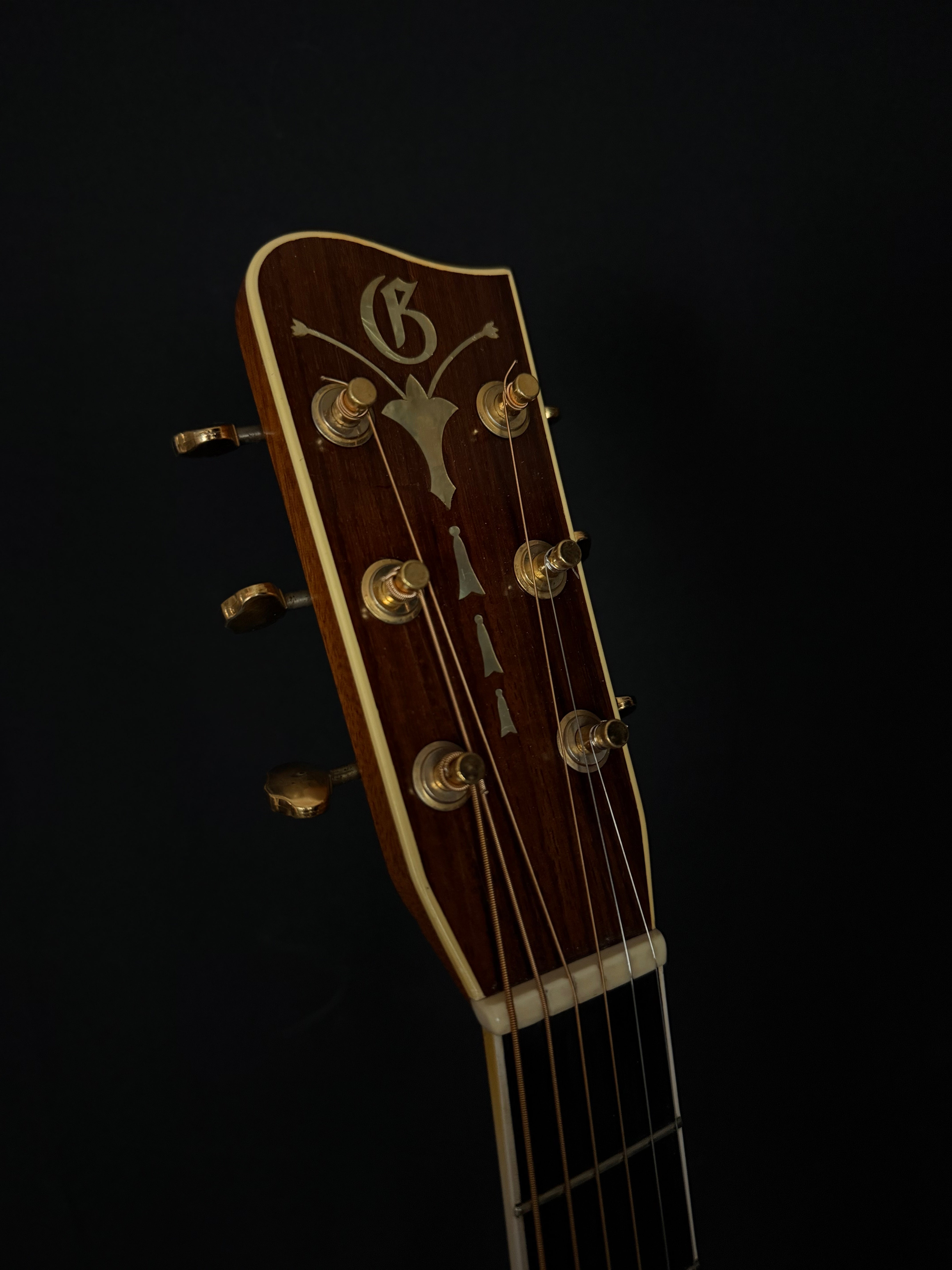 1981 Gallagher 72 Special Dreadnought Guitar | Acoustic Corner