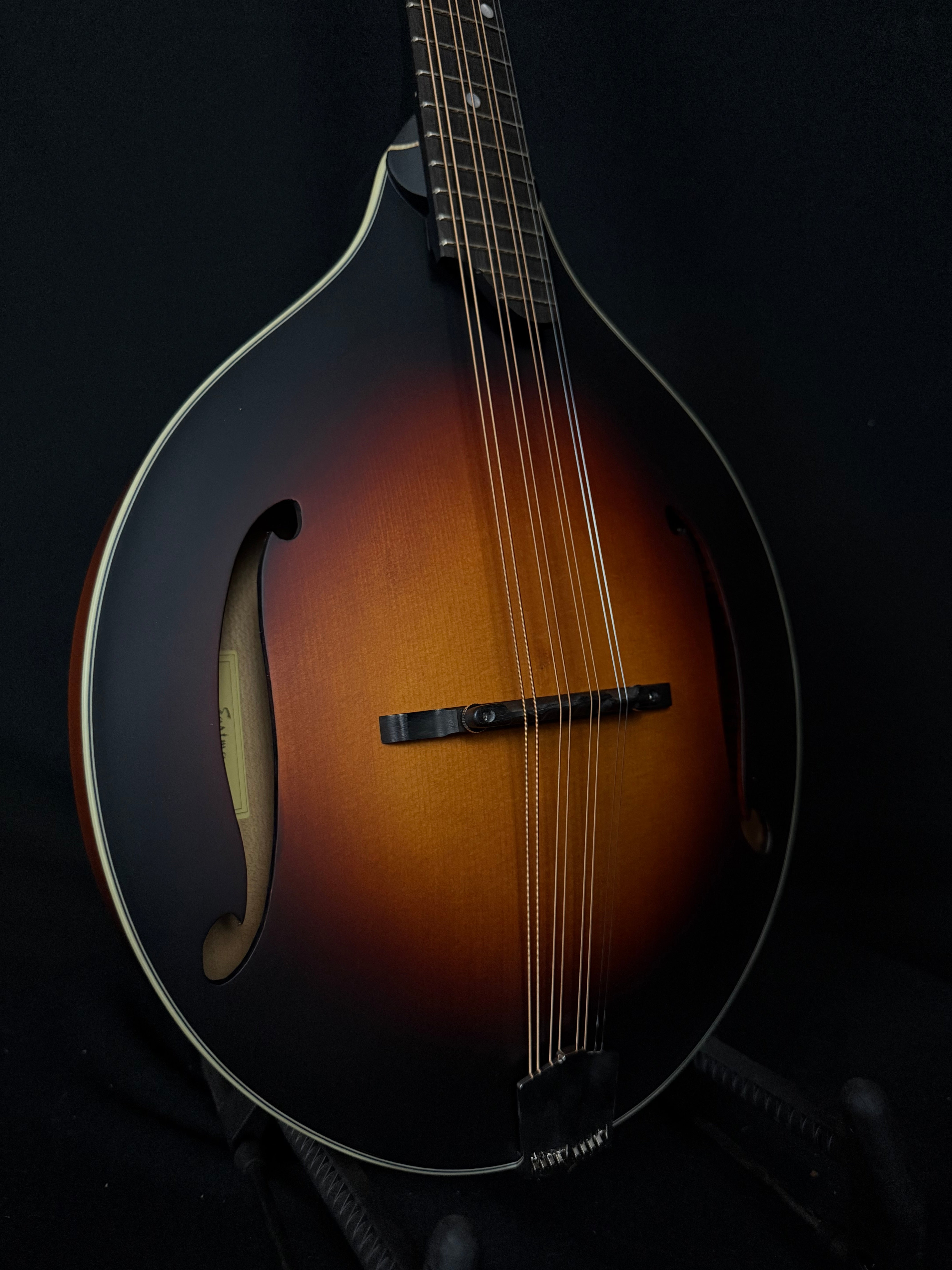 Recent Arrivals | Acoustic Corner
