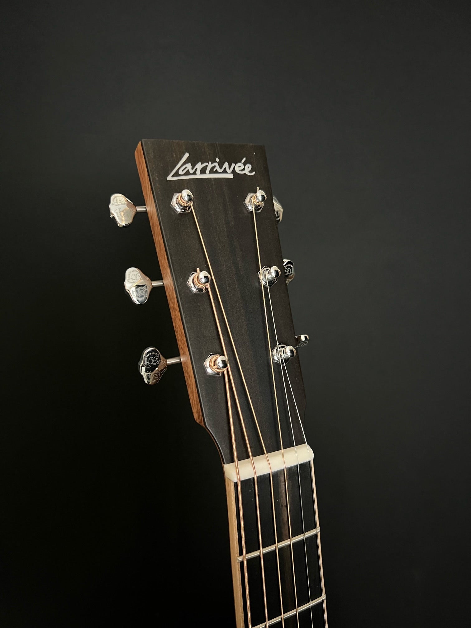 Larrivee 0040 All Mahogany - Acoustic Corner