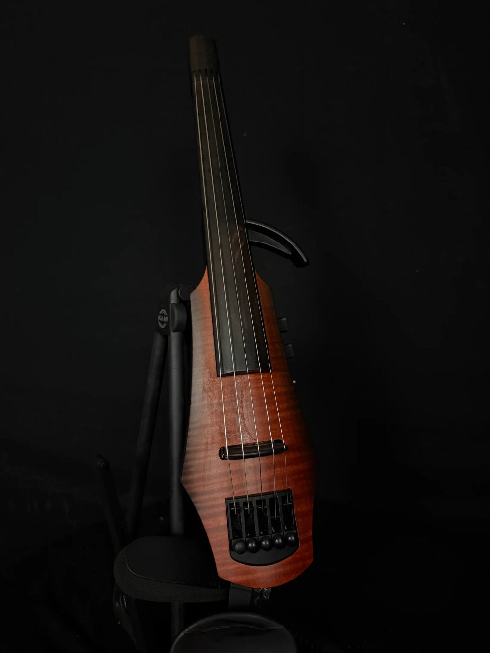 NS Design WAV 5-String Electric Violin | Acoustic Corner