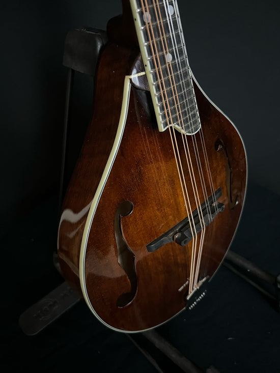 Eastman MD505 A-style mandolin binding