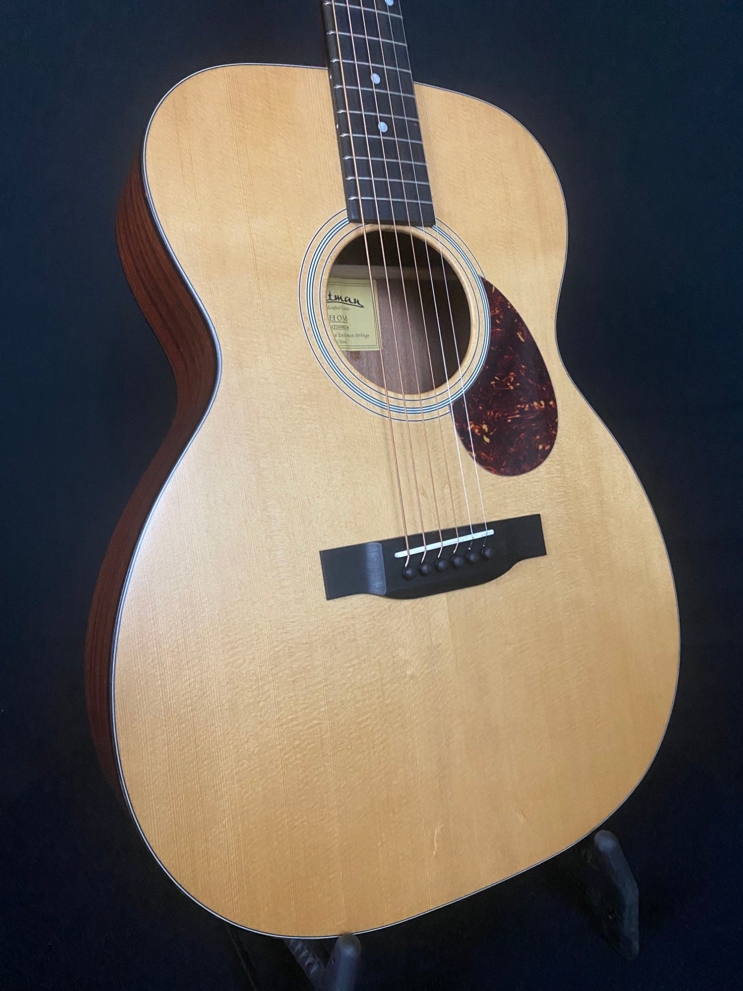 Eastman E1OM Sitka Spruce/Sapele acoustic guitar body