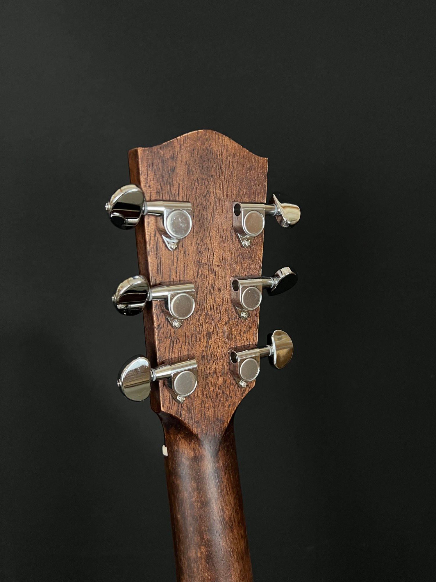 close up of Eastman PCH2-GACE acoustic electric guitar