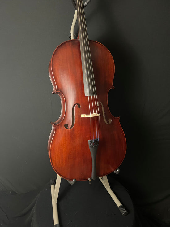 Eastman VC95 Cello body
