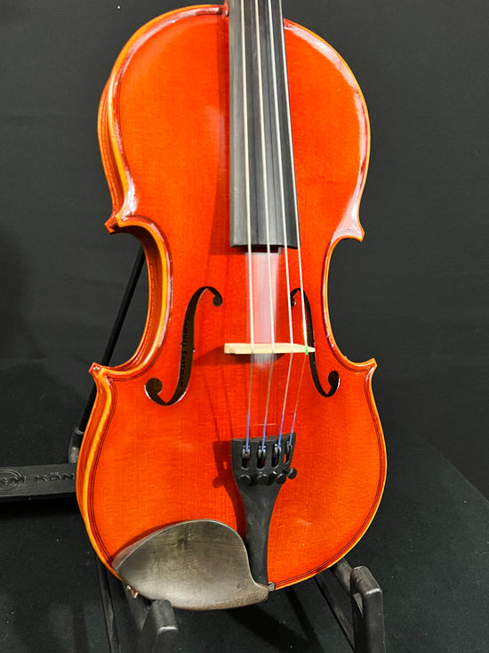 close up of Eastman VL80 violin body
