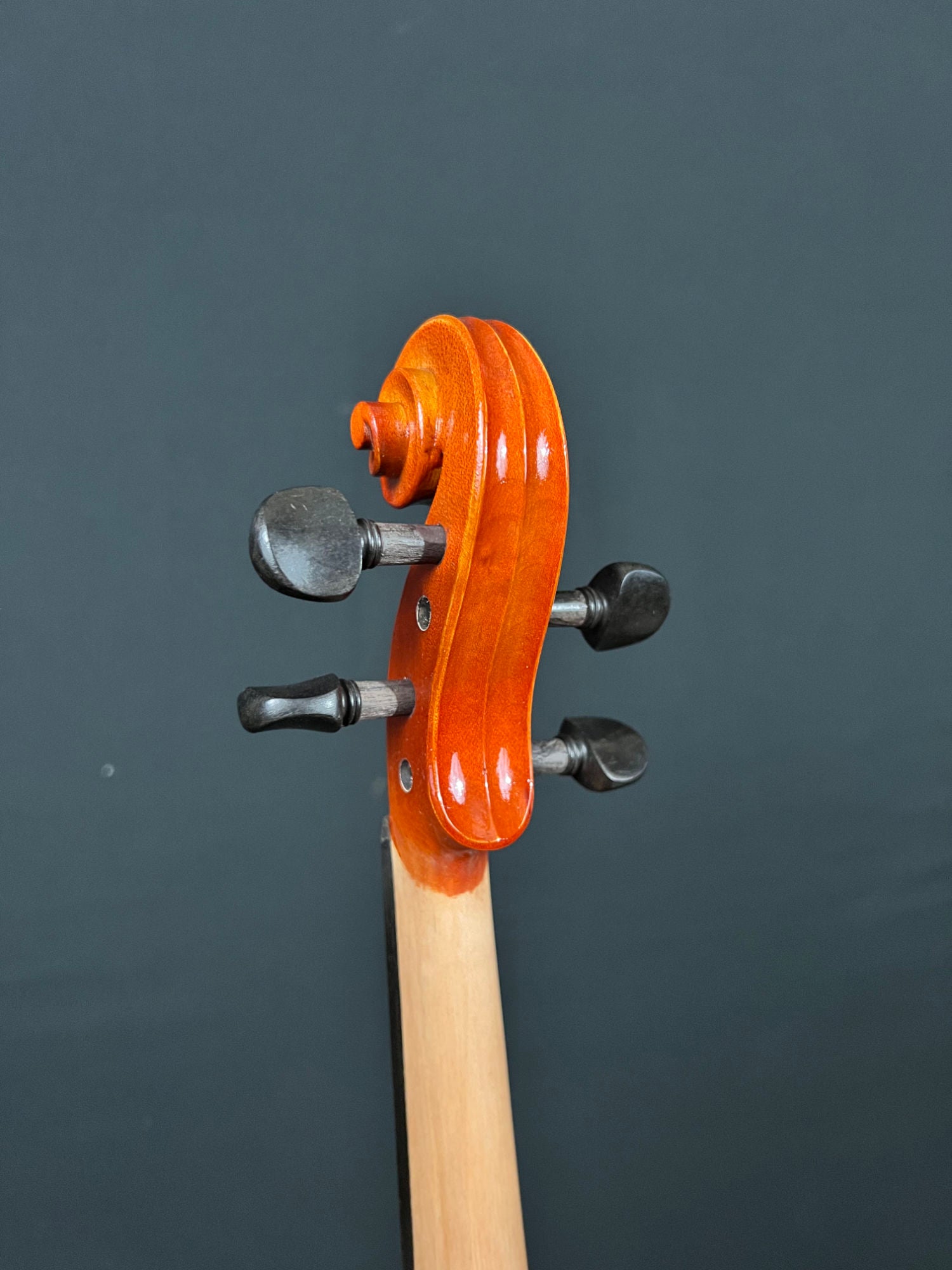 Eastman VL80 violin pegbox