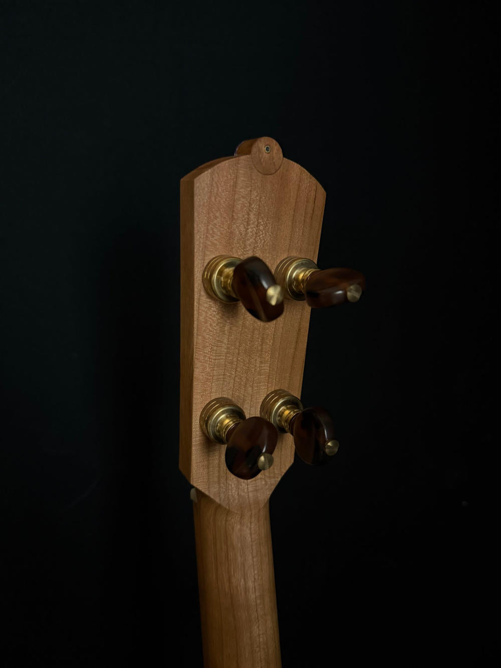tuners of 12 inch noon day banjo serial #007. They are brass colored with amber knobs