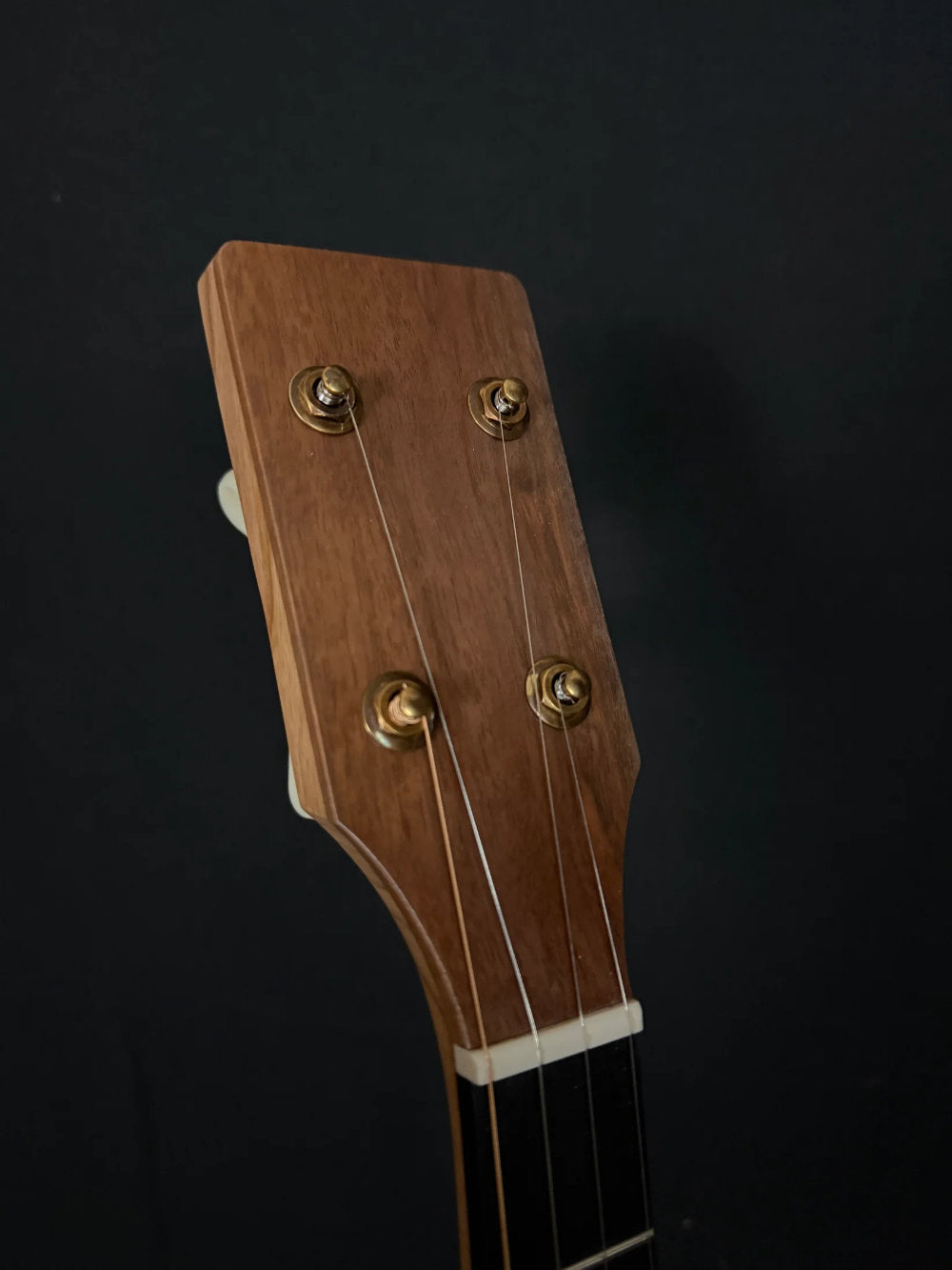 Pisgah Banjo Company Roscoe headstock