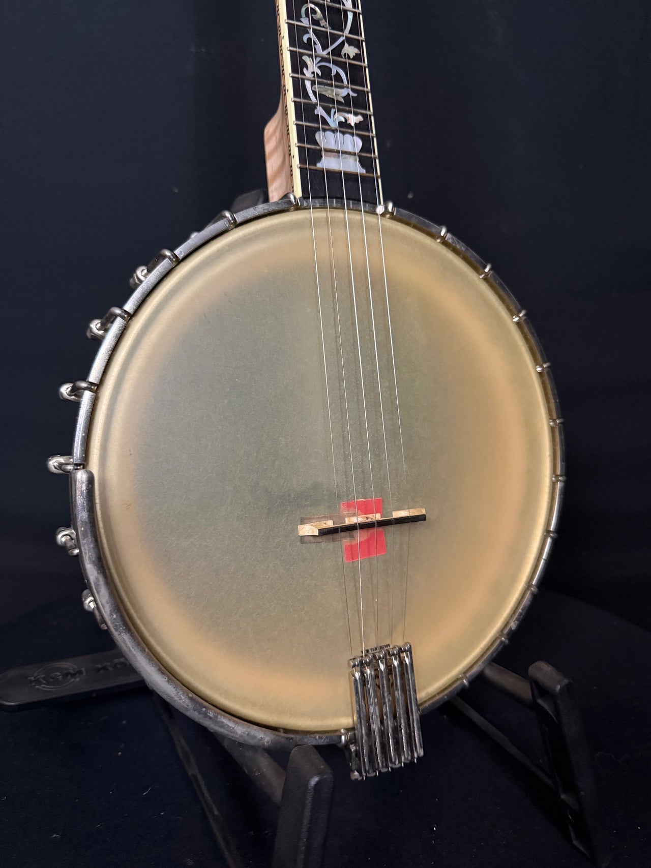 Wildwood Tubaphone "Tree of Life" 11" Open Back Banjo