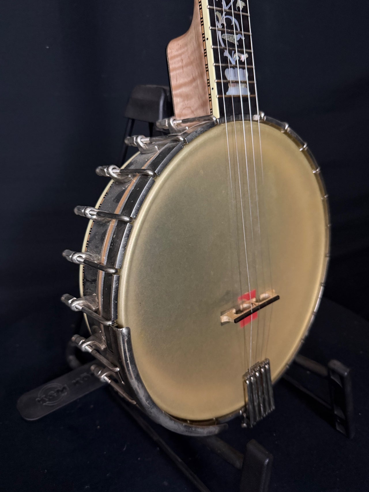 Wildwood Tubaphone "Tree of Life" 11" Open Back Banjo